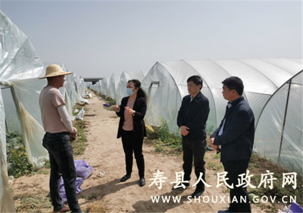 淮南市壽縣縣委副書孫奇志到澗溝鎮調研指導重點工作