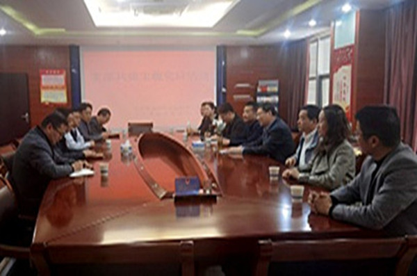 淮南潘集區(qū)審計局黨支部與市審計局機關(guān)第二黨支部聯(lián)合 開展黨史學(xué)習(xí)教育主題黨日活動