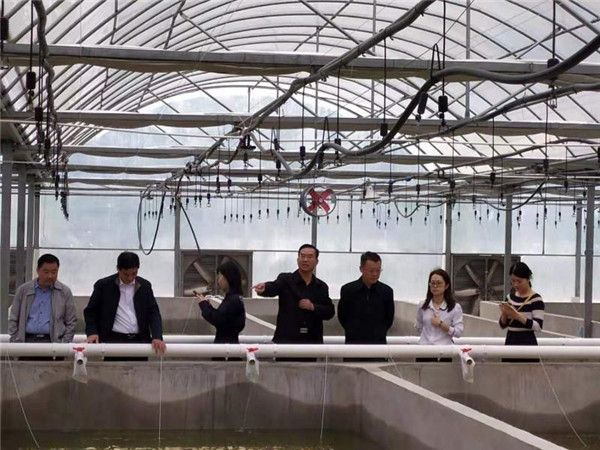 安徽淮南國家農(nóng)業(yè)科技園區(qū)扎實做好園區(qū)建設(shè)評估工作