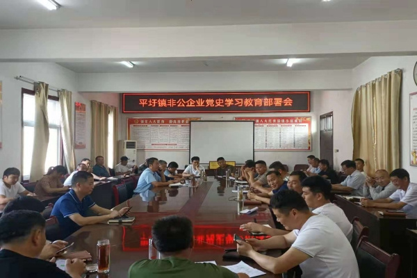 淮南市潘集區(qū)平圩鎮(zhèn)：念好“三字訣”推深做實非公領域黨史學習教育