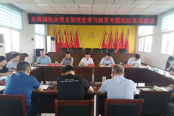 淮南市鳳臺縣鳳凰鎮黨委：嚴把“四道關” 開好黨史學習教育專題組織生活會