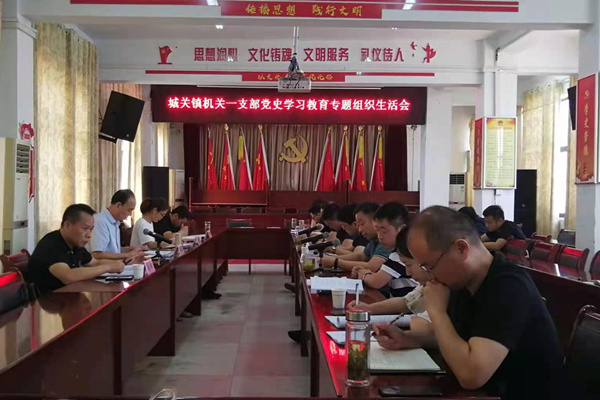 淮南市鳳臺縣城關鎮黨委：“五度工作法” 開好專題組織生活會