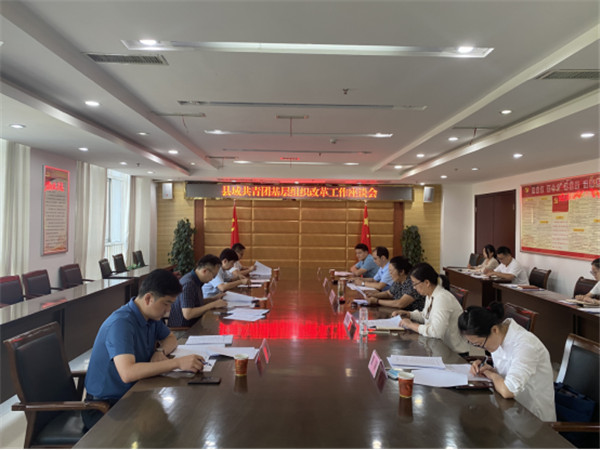 【淮南市壽縣】團省委來壽縣調研督導縣域共青團基層組織改革試點工作