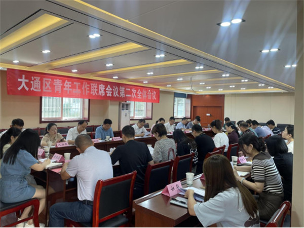 【淮南市大通區】大通區青年工作聯席會議第二次全體會議召開
