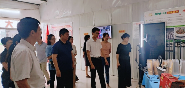 淮南市大通區政協視察區婦女兒童工作