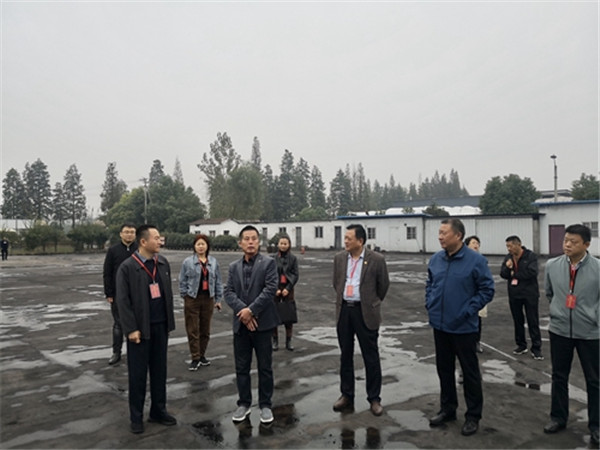 淮南市八公山區人大常委會視察全區安全生產工作