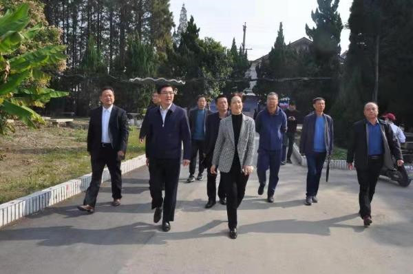 淮南市委副書記汪謙慎一行到淮南衛生學校調研職業教育發展情況
