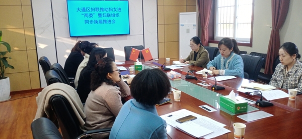 淮南市大通區婦聯推動婦女進“兩委”暨婦聯組織同步換屆推進會