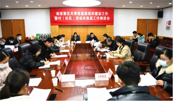 淮南市【謝家集區】謝家集區召開共青團基層組織建設工作暨村（社區）團組織換屆工作推進會