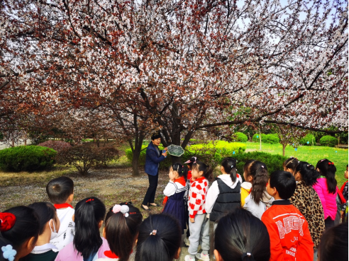 淮南師范附屬小學十九中校區開展校園尋春活動