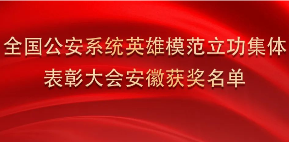 淮南上榜！全國表彰！