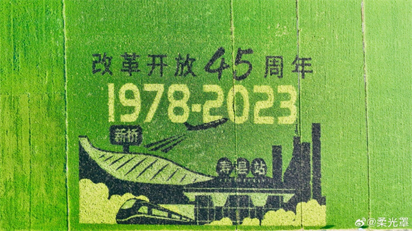 【圖說(shuō)淮南】—— 稻田畫